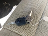1FMJU1HT4GE****** Salvage 2016 Ford Expedition in Texas State