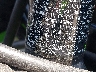 ML5EXGH12SD****** Repairable 2025 Kawasaki EX500 in Rec Rides Online Exclusive