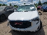 3GKALMEV7LL****** Destrozados 2020 GMC Terrain en Estado de Michigan