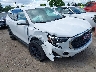 3GKALMEV7LL****** Salvamento y Destrozados 2020 GMC Terrain en Detroit