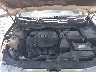 5NPEB4AC7BH****** Reparables 2011 Hyundai Sonata en Springfield