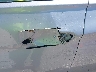 5NPEB4AC7BH****** Salvamento y Reparables 2011 Hyundai Sonata en Estado de Missouri