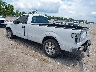 1FTMF1CMXEK****** Salvamento y Reparables 2014 Ford F-150 en Tampa North