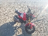 MLHJC9218S5****** Salvamento y Destrozados 2025 Honda Grom en Rec Rides Online Exclusive