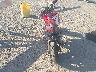 MLHJC9218S5****** Salvamento y Reparables 2025 Honda Grom en Estado de Tennessee