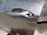 5NPDH4AE7GH****** Destrozados 2016 Hyundai Elantra en Estado de Utah