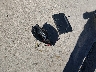 3C4NJDEB0MT****** Wrecked 2021 Jeep Compass in Illinois State