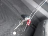 5XXG64J26NG****** Salvage 2022 Kia K5 in Texas State