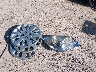 1G1AS18HX97****** Wrecked 2009 Chevrolet Cobalt in Wisconsin State
