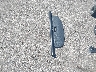 1C4PJMDS4FW****** Destrozados 2015 Jeep Cherokee en Estado de Minnesota