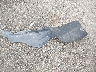 5NPE34AF2JH****** Destrozados 2018 Hyundai Sonata en Estado de Massachusetts
