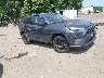 2T3F1RFV5RC****** Salvage and Wrecked 2024 Toyota RAV4 in Taunton