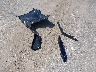 4T1DAACK9TU****** Wrecked 2026 Toyota Camry Hybrid in Indiana State