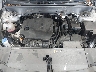 5XYRLDJC1RG****** Repairable 2024 Kia Sorento in Newburgh