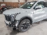 5XYRLDJC1RG****** Salvage and Wrecked 2024 Kia Sorento in Newburgh