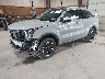 5XYRLDJC1RG****** Used and Repairable 2024 Kia Sorento in Newburgh