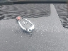 WDCGG8HB3AF****** Salvamento 2010 Mercedes-Benz Glk 350 en Estado de Maryland