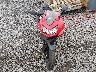 JKAEXMJ18CD****** Used and Repairable 2012 Kawasaki Ex250 in West Virginia State