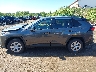 2T3F1RFV2PC****** Repairable 2023 Toyota RAV4 in Minnesota State