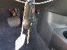 3N1CN7AP8KL****** Salvage 2019 Nissan Versa in Colorado State