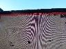 5YJ3E1EB4SF****** Wrecked 2025 Tesla Model 3