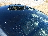5YJ3E1EB4SF****** Salvage and Repairable 2025 Tesla Model 3 in Missouri State