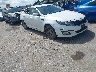 KNAGM4A71F5****** Salvamento y Destrozados 2015 Kia Optima en Houston