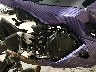ML5EXGJ12RD****** Wrecked 2024 Kawasaki Ninja 500 in Portland Gorham