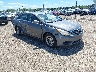 5NPEB4AC8DH****** Salvage and Wrecked 2013 Hyundai Sonata in Lincoln