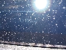 5NMP3DGL2RH****** Wrecked 2024 Hyundai Santa Fe