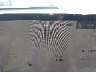 5YJ3E1ETXRF****** Repairable 2024 Tesla Model 3