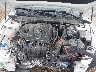 KNAG24J75S5****** Repairable 2025 Kia K5 in Corpus Christi
