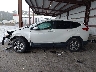 5J6RW2H53KL****** Reparables 2019 Honda CR-V en Estado de Florida
