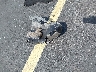 5NPD84LF0JH****** Wrecked 2018 Hyundai Elantra in Florida State