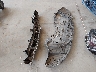2C3CDXBG6PH****** Destrozados 2023 Dodge Charger en Estado de Texas