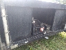 5856C5324SP****** Salvage and Repairable 2025 Sundowner Trailers Auto Hauler in Ohio State
