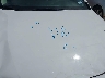 5YFB4MDE3PP****** Repairable 2023 Toyota Corolla