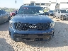 5XYP5DGCXRG****** Destrozados 2024 Kia Telluride en Estado de Texas