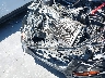 1FMCU0F73GU****** Salvamento y Reparables 2016 Ford Escape en Estado de California