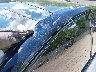 4T1B61HK3KU****** Reparables 2019 Toyota Camry