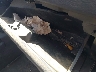 3D7KU28CX4G****** Wrecked 2004 Dodge Ram 2500 in Oregon State