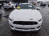 1FA6P8CF6F5****** Destrozados 2015 Ford Mustang en Estado de Texas