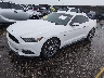 1FA6P8CF6F5****** Usados y Reparables 2015 Ford Mustang en Houston