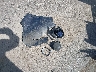 1C4RDJDG2KC****** Wrecked 2019 Dodge Durango in Minnesota State