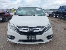 5FNRL6H95LB****** Wrecked 2020 Honda Odyssey in Texas State