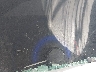 19XFB2F59CE****** Repairable 2012 Honda Civic in Nevada State