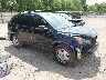 JHLRE48339C****** Salvage and Wrecked 2009 Honda CR-V in Knoxville