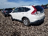 5J6RM4H76EL****** Salvamento y Reparables 2014 Honda CR-V en Columbus