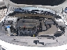 5XXGT4L39LG****** Repairable 2020 Kia Optima in Greenville