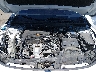 19XFL2H88NE****** Repairable 2022 Honda Civic in Englishtown